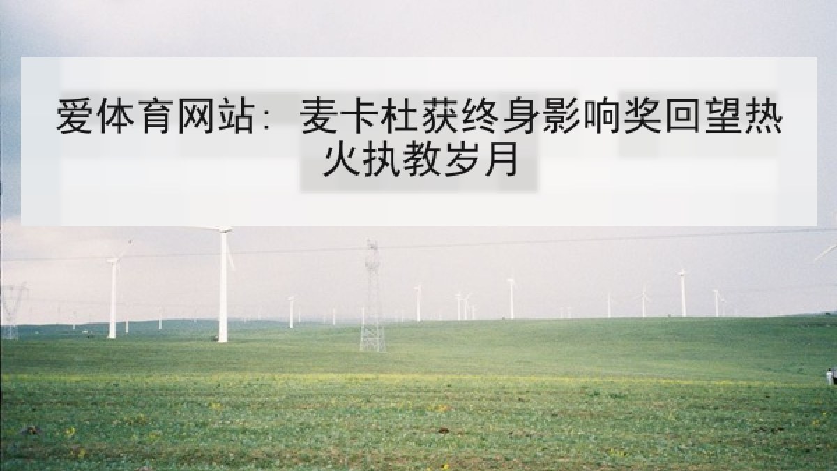 爱体育网站: 麦卡杜获终身影响奖回望热火执教岁月