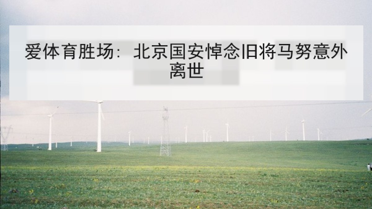 爱体育胜场: 北京国安悼念旧将马努意外离世