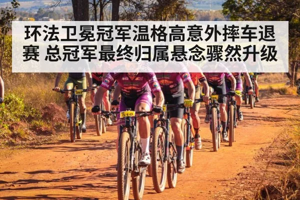 环法卫冕冠军温格高意外摔车退赛 总冠军最终归属悬念骤然升级