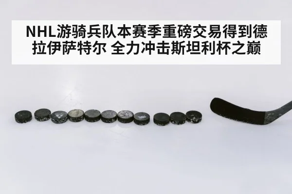 NHL游骑兵队本赛季重磅交易得到德拉伊萨特尔 全力冲击斯坦利杯之巅