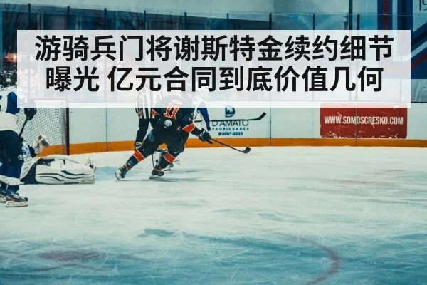 ice hockey match action